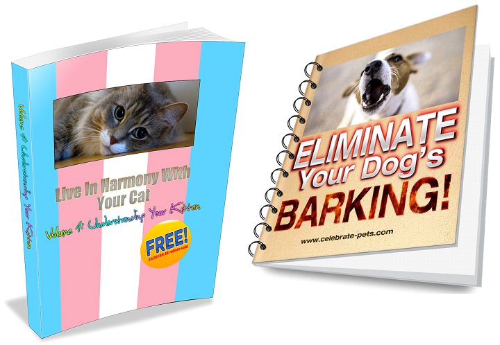 Welcome a new kitten into your home and/or eliminate your dog's excessive barking