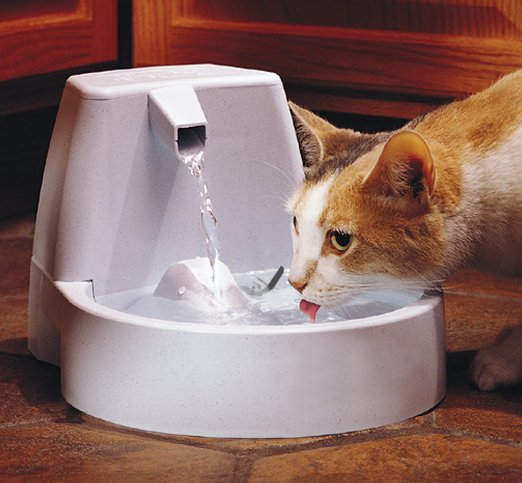 Cat Water Fountains are beneficial to your cats health